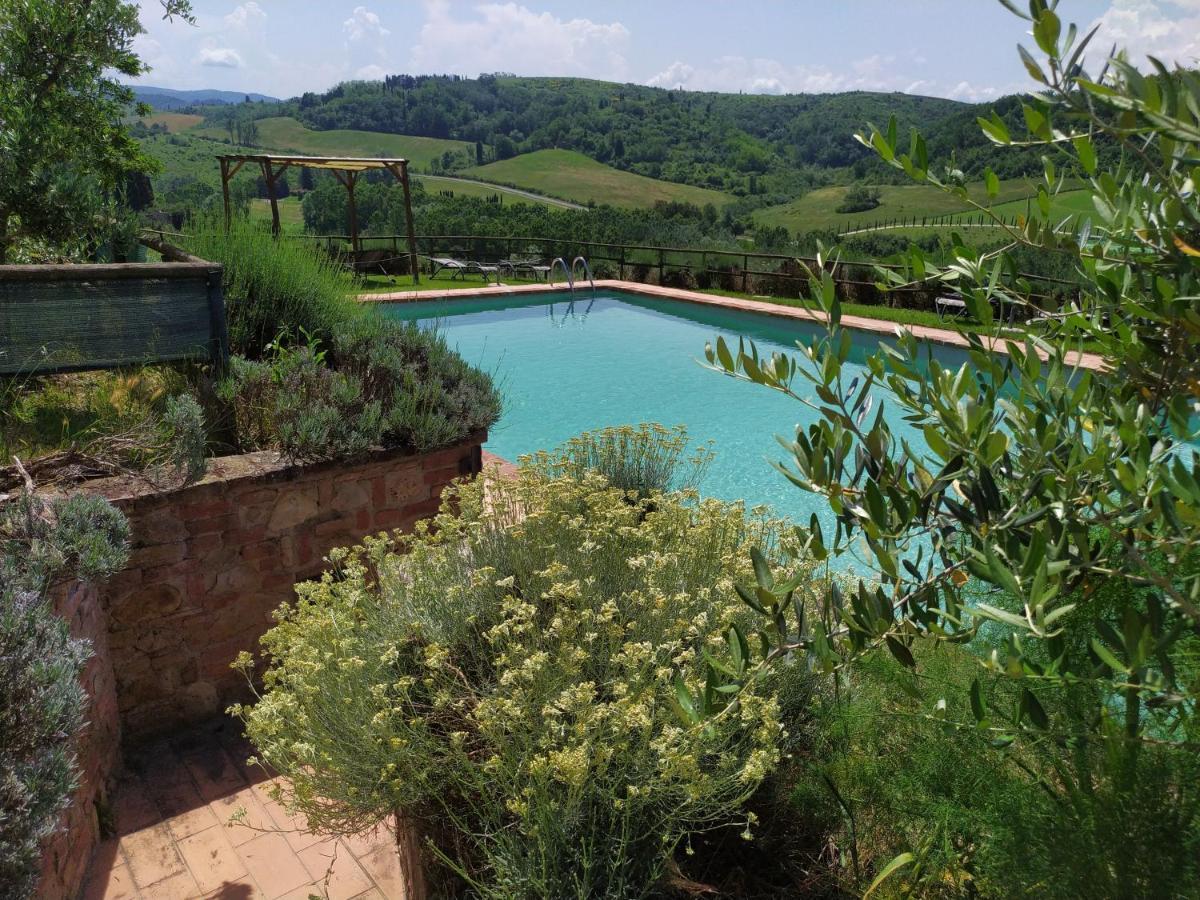 Antonella House -Podere Della Collina Palaia Buitenkant foto