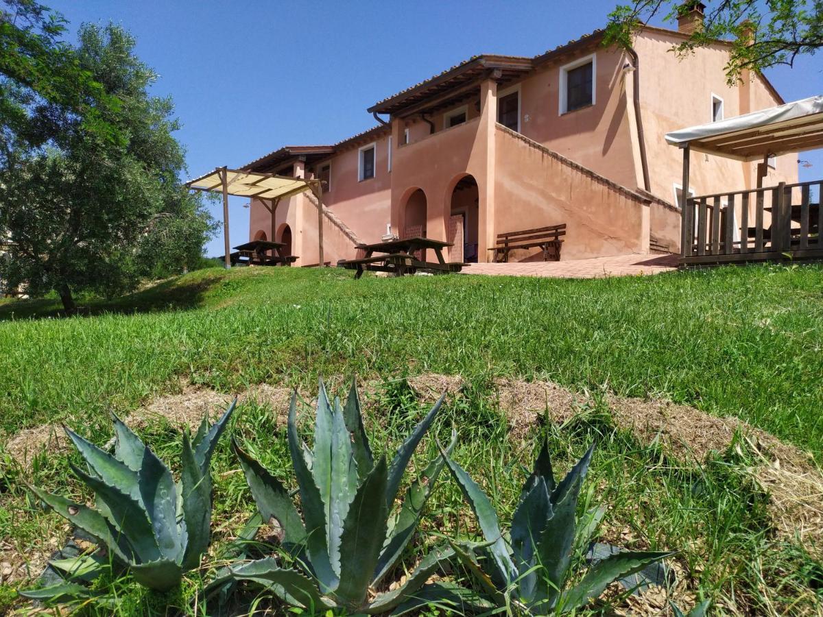 Antonella House -Podere Della Collina Palaia Buitenkant foto