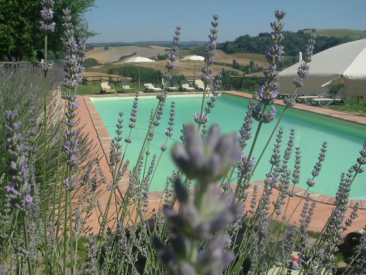 Antonella House -Podere Della Collina Palaia Buitenkant foto